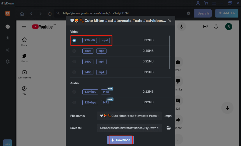 How to Use YouTube Shorts Downloader on iFlyDown 2