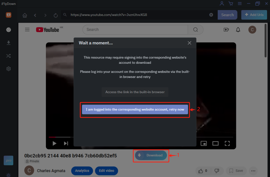 iFlyDown YouTube Private Video Downloader Way 3 Step 3